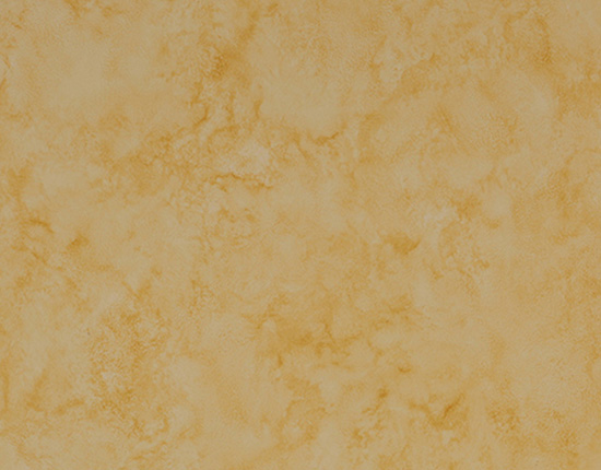 箭牌漆